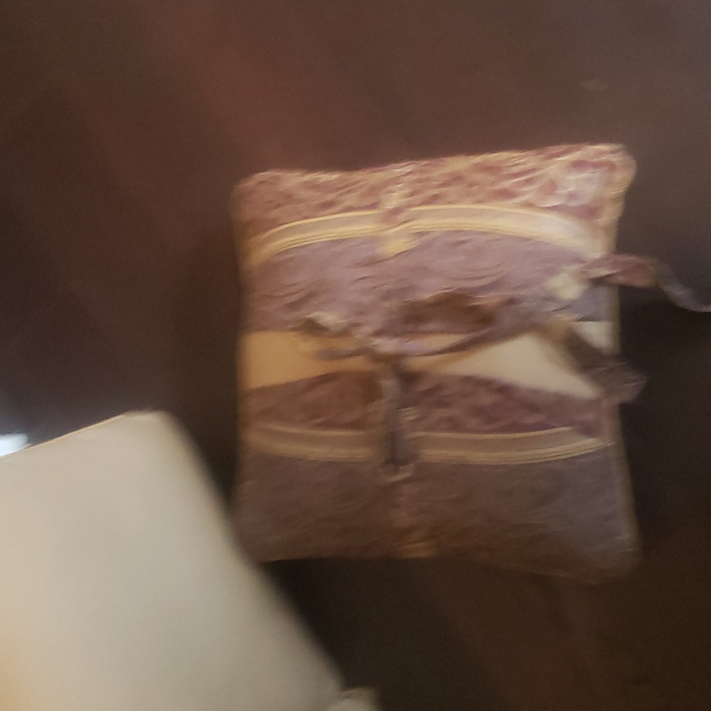 Elegant Croscill Brand Reversable Accent Pillow Set 17"x17"See Pics For Colors - Picture 3 of 5